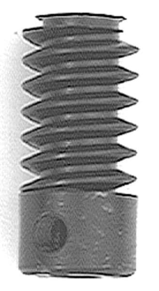Bild von Schnecke, Modul 0,75 mit Buchse (für Befestigung M4), Kunststoff