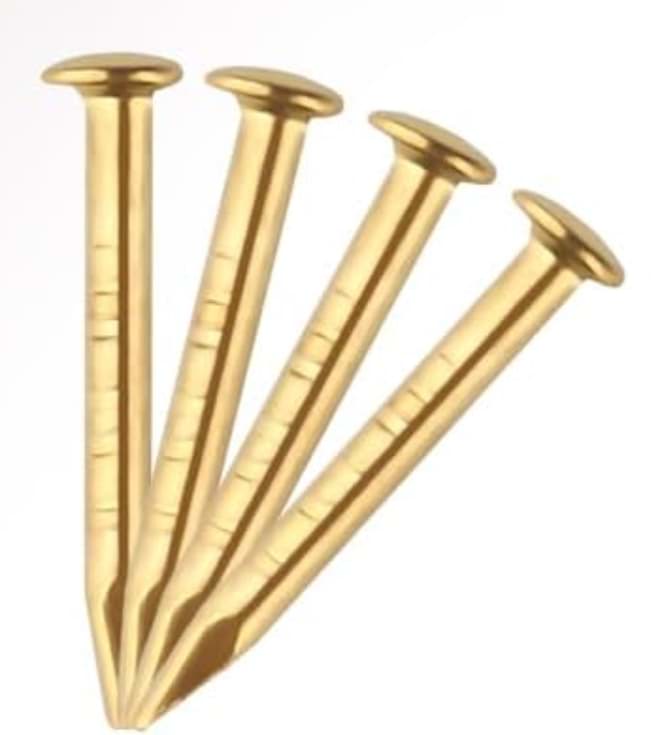 Bild von Rundkopfnägel, Messing für Kleinbeschläge, 100 Stück